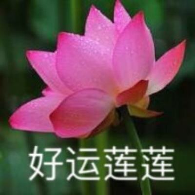 火狐官网手机app下载